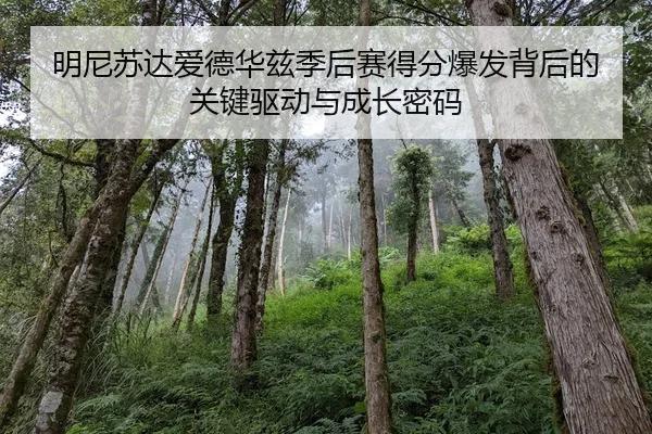 明尼苏达爱德华兹季后赛得分爆发背后的关键驱动与成长密码